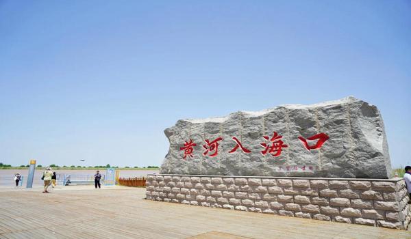 三角洲行动辅助网址（给我一个三角洲行动辅助的直接网址）